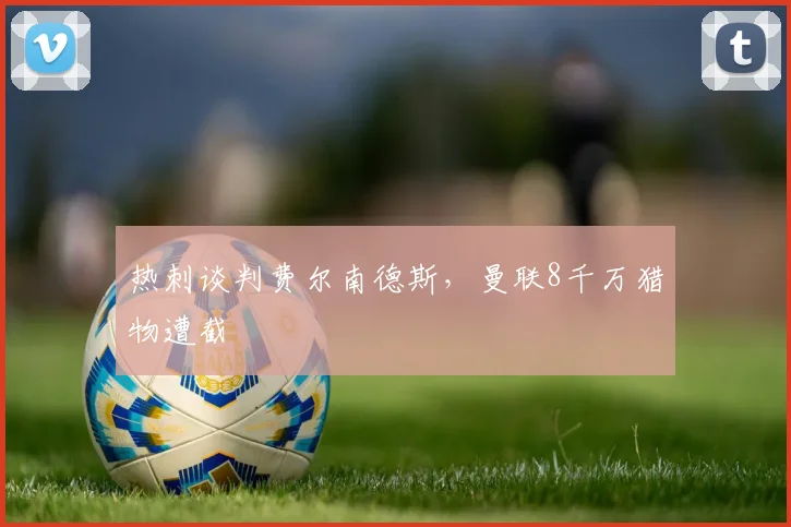 热刺谈判费尔南德斯，曼联8千万猎物遭截