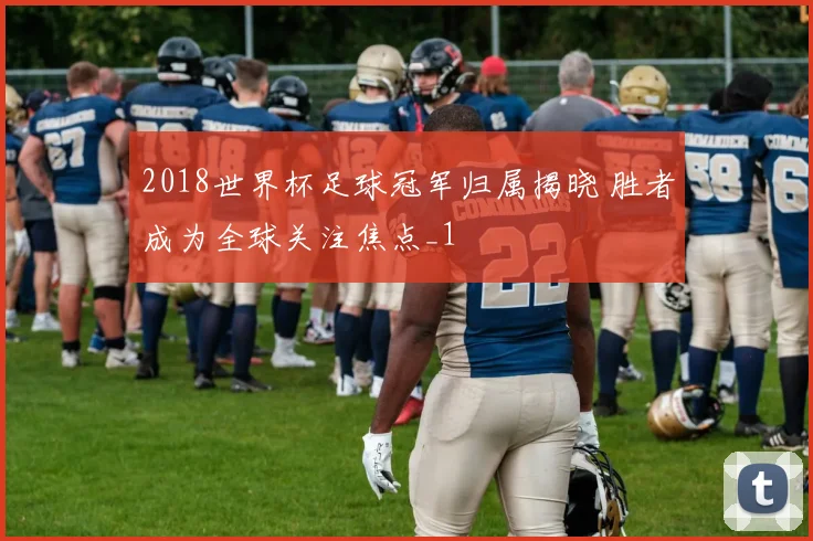 2018世界杯足球冠军归属揭晓 胜者成为全球关注焦点_1