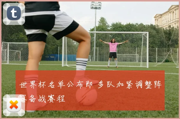 世界杯名单公布即 多队加紧调整阵容备战赛程