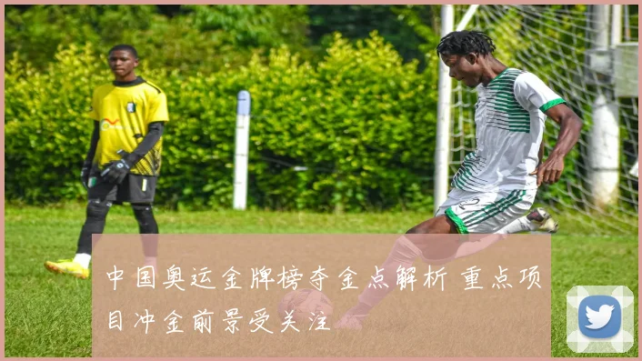 中国奥运金牌榜夺金点解析 重点项目冲金前景受关注