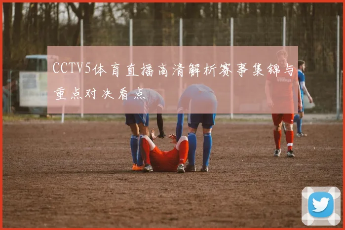 CCTV5体育直播高清解析赛事集锦与重点对决看点
